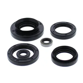 Winderosa (vertex) set of engine seals Kawasaki KVF 750 Brute Force 15-19