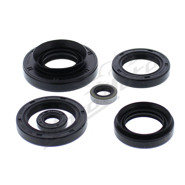Winderosa (vertex) set of engine seals Kawasaki KVF 750 Brute Force 15-19