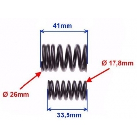 Valve spring SHINERAY ATV XY250 STXE 2vnt.
