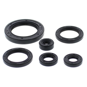 Winderosa (vertex) set (set) of engine seals Honda TRX 650-680 03-21