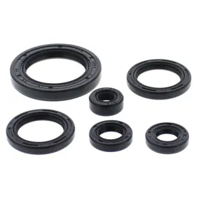 Winderosa (vertex) set (set) of engine seals Honda TRX 650-680 03-21