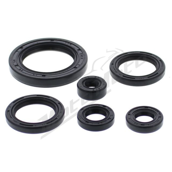 Winderosa (vertex) set (set) of engine seals Honda TRX 650-680 03-21