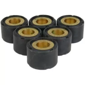 19x14 Variator weight set RMS 6pcs 12,0g