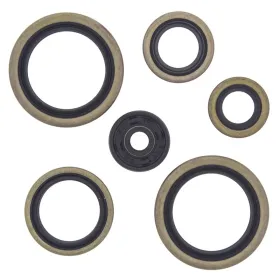 Winderosa (vertex) set of engine seals KTM SX / EXC 125-200 98-14