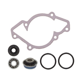 Sno-X Water pump repair kit Ski-Doo Ski-Doo 1999-19