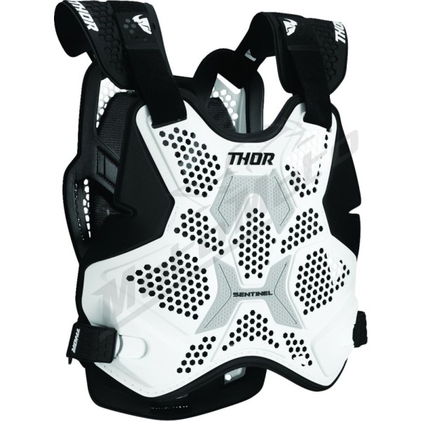 THOR Sentinel Pro Guard