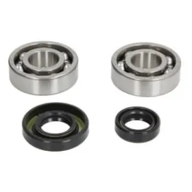 Hot Rods Crankshaft bearings kit KTM SX 50cc 04-08