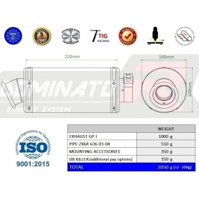 Exhaust kit Dominator GP1 KAWASAKI ZX6R 636 2003-2004