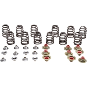 KIBBLEWHITE Beehive Valve Spring Kit Can Am / Sea Doo 900 16-21
