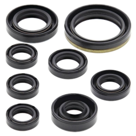Winderosa (vertex) set of engine seals Yamaha YZF / WR 250 01-13