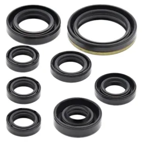 Winderosa (vertex) set of engine seals Yamaha YZF / WR 250 01-13