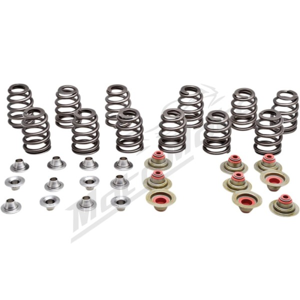 KIBBLEWHITE Beehive Valve Spring Kit Can Am / Sea Doo 900 16-21