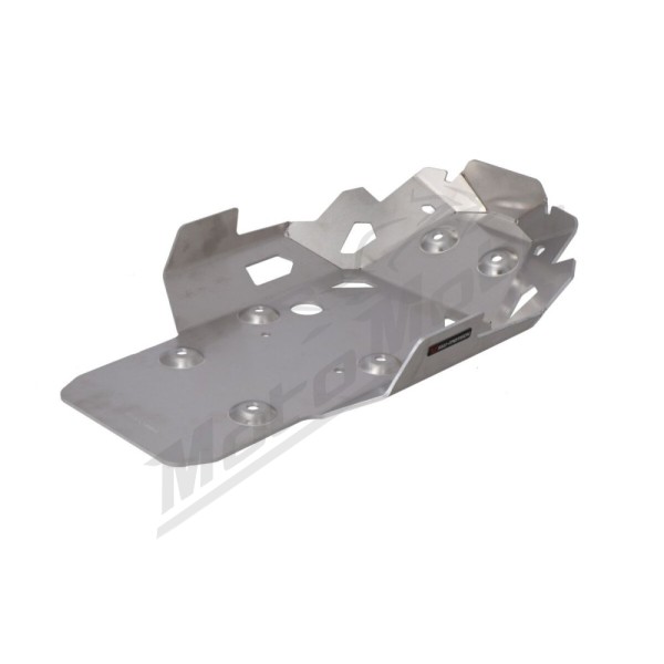SW-MOTECH Engine Guard BMW R 1300 23-25