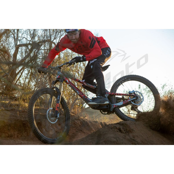 THOR Assist MTB Pants