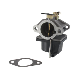 Eurogarden Carburetor Tecumseh OHV110-OVH135, OV358EA