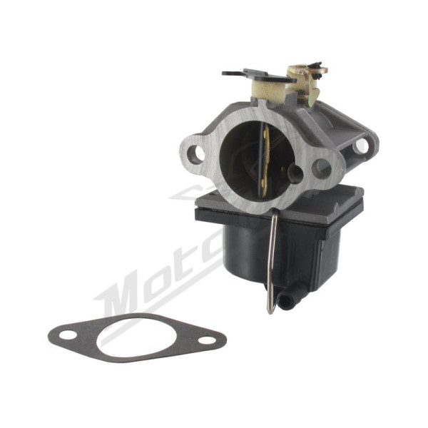 Eurogarden Carburetor Tecumseh OHV110-OVH135, OV358EA