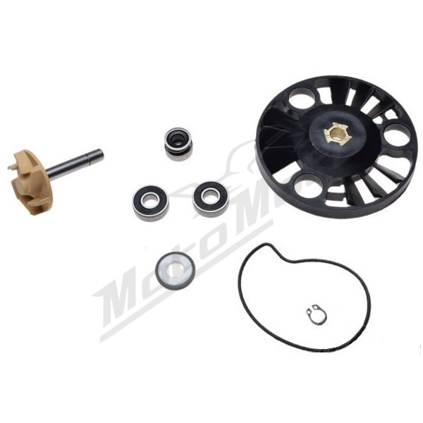 Water pump repair kit PIAGGIO RST/ X9/ GILERA DNA/ RUNNER/ VESPA GRAN TURISMO 125cc 00-05