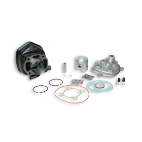 Cilindro komplektas MALOSSI Sport ketinis Ø47 Pirštas Ø10 Minarelli Horizontal Yamaha / MBK / Aprilia 50 94-16 H2O 2T