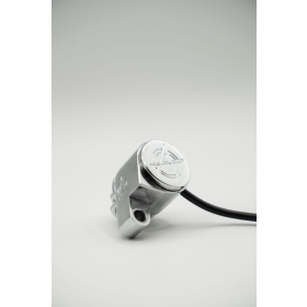 RBW SKULL RBW Skull Harley Davidson FLDE / FLFB / FLHCS / FLHRXS / FLHTK / FLHX / FLS / FLSTC / FLTRX / FXFBS / FXST 1750-1977 16-26