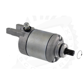 RMS Starteris Piaggio / Vespa 125-300cc 09->