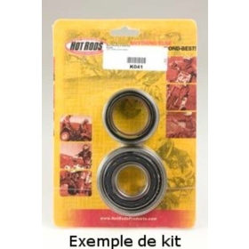 HOT RODS Crankshaft Bearing & Oil Seal Kit KTM 250 SX-F 2006-2010