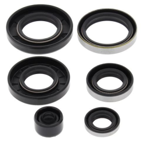 Winderosa (vertex) set engine seals Kawasaki KFX 450 R 08–14