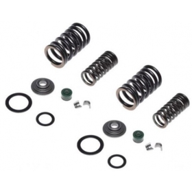 Valve spring, rubber, rentainer kit CROSS / ATV LONCIN 4T 250cc