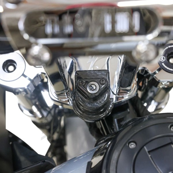 THRASHIN SUPPLY CO. Cover Steering Lock Harley Davidson FLTRX 1923cc 24-25