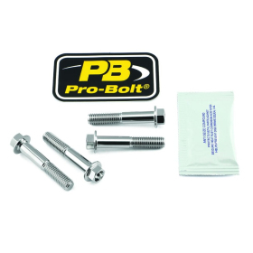 PRO BOLT Axle Pinch Bolt Kit Stainless Steel, Front Aprilia / Ducati / HM Moto / Honda / Kawasaki 250-1300cc 94-21