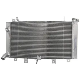 4Ride Radiator SUZUKI GSX 1300 1999-2017