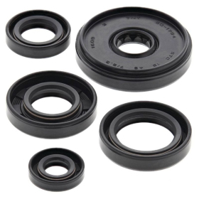 Winderosa (vertex) set (set) of engine seals Yamaha PW 50 90-19