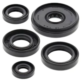 Winderosa (vertex) set (set) of engine seals Yamaha PW 50 90-19