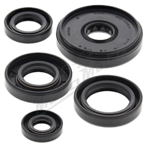 Winderosa (vertex) set (set) of engine seals Yamaha PW 50 90-19