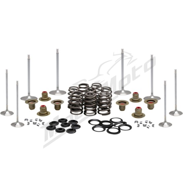 KIBBLEWHITE Engine Valve Kit Harley Davidson FLDE / FLFB / FLHX / FLSL / FXDR / FXLR / FXST 1750-1923 17-26