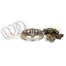 VARIATORIAUS KOMPL. MALOSSI Maxi Piaggio 125-150cc 4T (20x17)