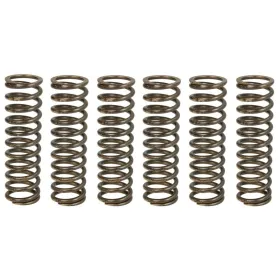 TRW Clutch springs set Aprilia ETV / SMV 1200 10-17