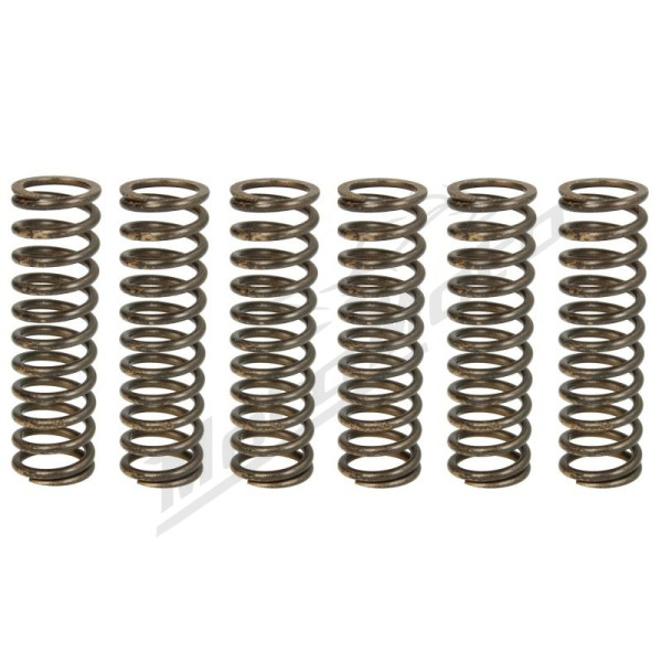 TRW Clutch springs set Aprilia ETV / SMV 1200 10-17