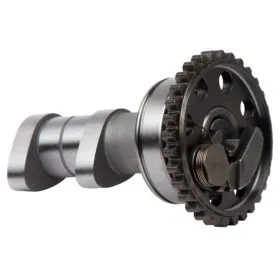 HOT CAMS išmetimo paskirstymo velenas Yamaha YZF 250 14-15