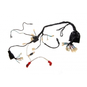 Wiring harness SHINERAY XY125-10D 125cc 4T