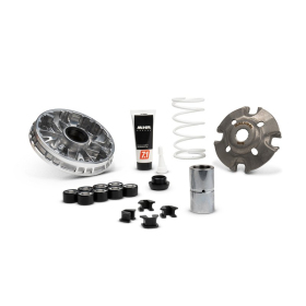 MALOSSI Multivar 2000 Variatoriaus kompl. Zontes 350-368 23-26