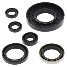 Winderosa (vertex) set (set) of engine seals Polaris Xpedition 425 00–02
