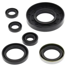 Winderosa (vertex) set (set) of engine seals Polaris Xpedition 425 00–02