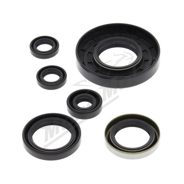 Winderosa (vertex) set (set) of engine seals Polaris Xpedition 425 00–02
