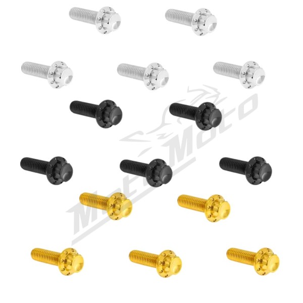 ARLEN NESS Derby Cover Titanium 12-Point Bolt Kit 12pcs. M8