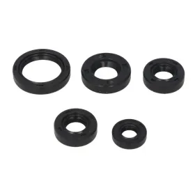Winderosa Engine gaskets set Kawasaki KLF 300-400 86-05