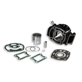 Cylinder MALOSSI Sport cast iron Ø53 Pin Ø12 Honda MBX / MTX 80 80-01 H2O 2T
