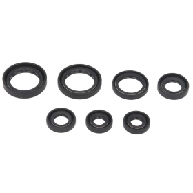 Winderosa Engine gaskets set 7pcs. Honda TRX 350 00-06