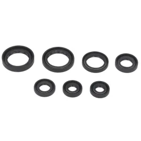 Winderosa Engine gaskets set 7pcs. Honda TRX 350 00-06