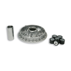 Variatoriaus kompl. MALOSSI Maxi Multivar ​​​​​​​Honda NSS 250cc 4T 01-13 (23x18)