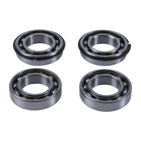 HOT RODS Balancer Shaft Reconditioning Kit Polaris Scrambler / Sportsman 850-1000cc 09-22